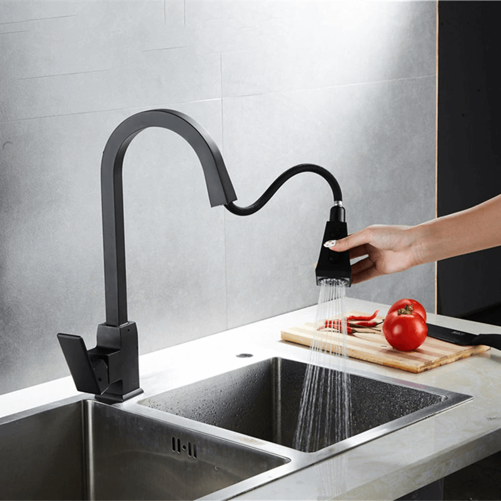 Liora Dual Function Pull Down Faucet