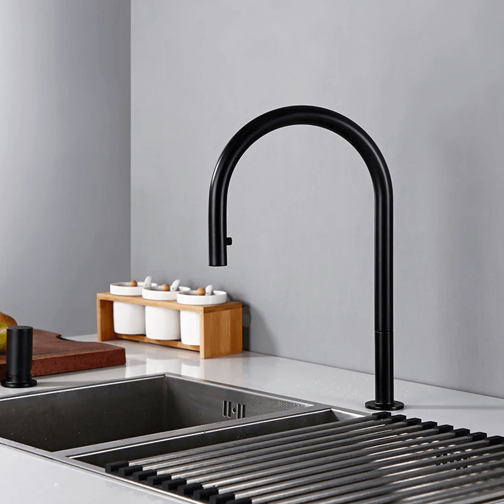 Aurora 2-Hole Kitchen Faucet