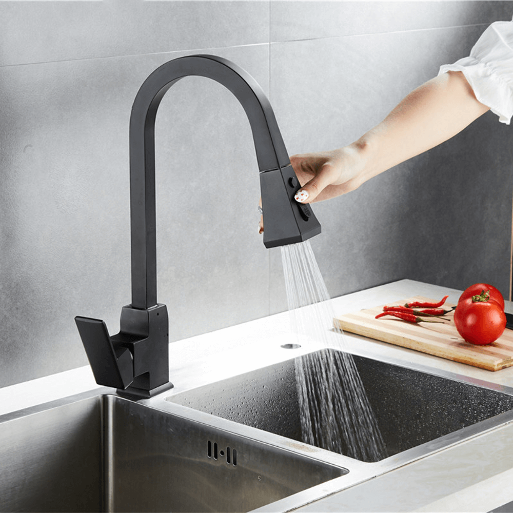 Liora Dual Function Pull Down Faucet