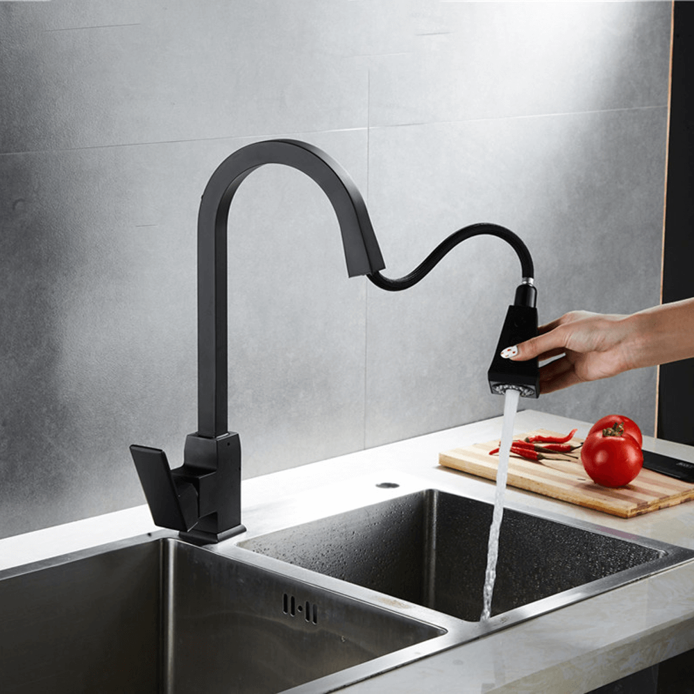 Liora Dual Function Pull Down Faucet