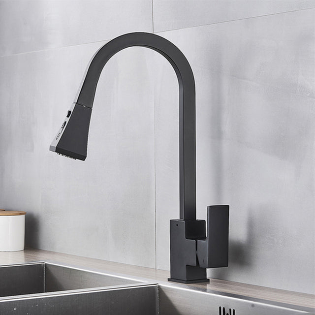 Liora Dual Function Pull Down Faucet